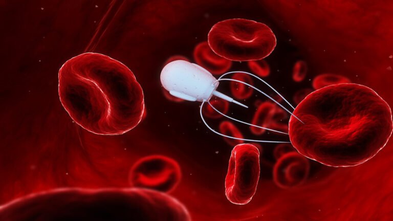 كحصان طروادة .. تطوير روبوتات قادرة على إيصال الأدوية عبر التسلل إلى دفاعات الجسم