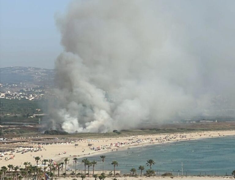 عناية عز الدين في سلسلة اتصالات مع المعنيين لتطويق حريق محمية شاطئ صور الطبيعية