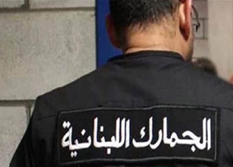 شعبة المكافحة البرية في جمارك صيدا توقف سيارة محملة بمتممات غذائية مزورة