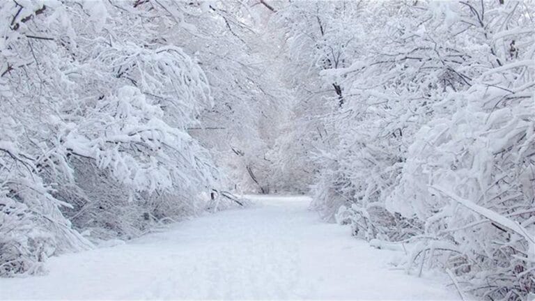 منخفض قطبي يضرب لبنان… والثلوج تقترب من 1000 متر