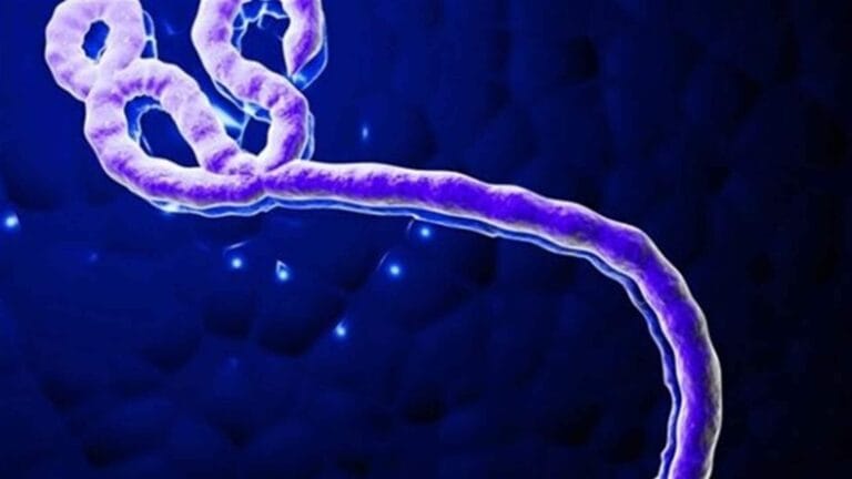 أميركا توسع نطاق حظر السفر المتعلق بإيبولا ليشمل حاملي البطاقة الخضراء