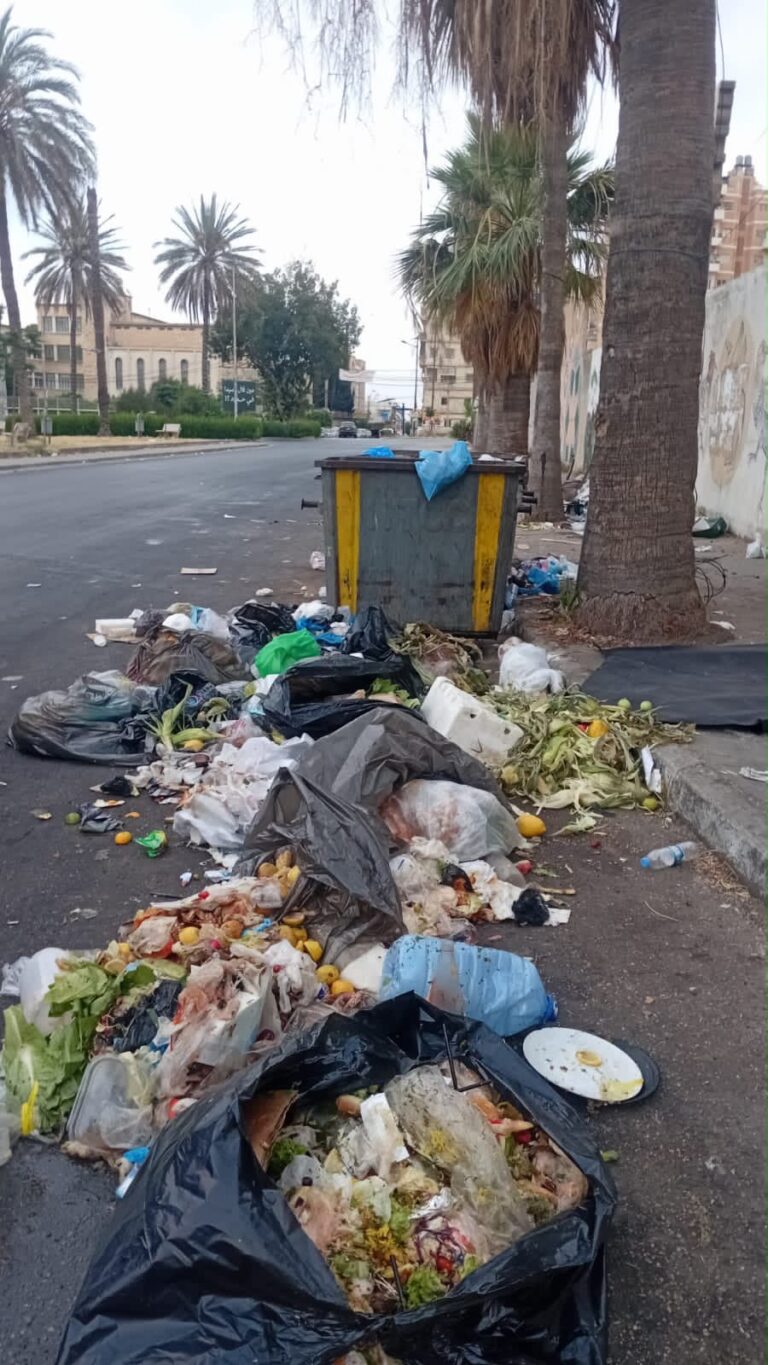 تسطير محضر ضبط رمي نفايات عشوائي بحق مطعم في صيدا
